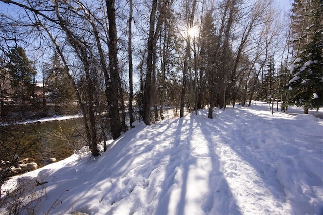 view of snowy yard