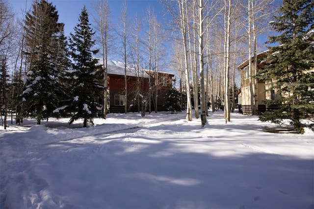 view of yard covered in snow