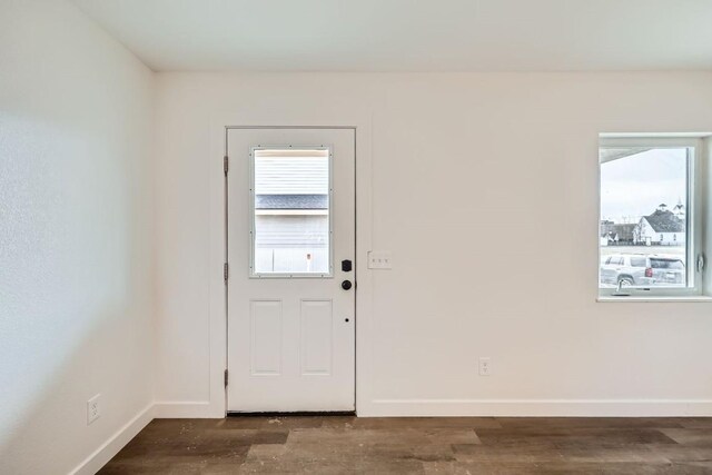 525 Castello Ave, Fairplay, CO 80440 - doorway to outside with baseboards and dark wood-style floors