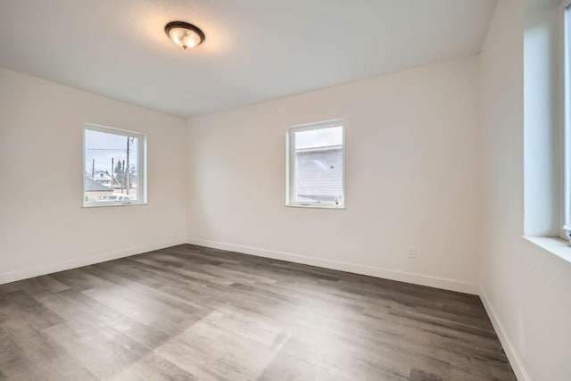 525 Castello Ave, Fairplay, CO 80440 - spare room with baseboards, wood finished floors, and a healthy amount of sunlight