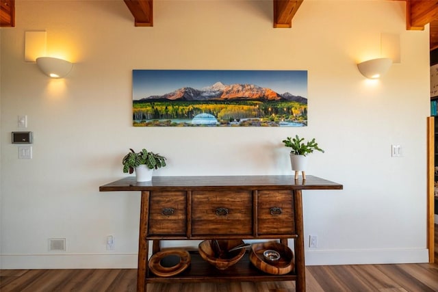 44255 Diamondback Way, Steamboat Springs, CO 80487 - detailed view of wood finished floors and baseboards