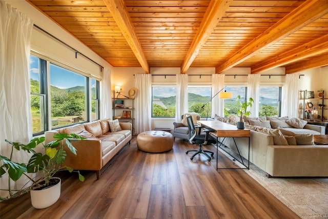 44255 Diamondback Way, Steamboat Springs, CO 80487 - living area featuring a wooden ceiling with exposed beams, wood finished floors, and a mountain view