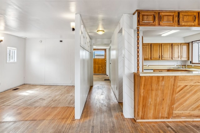 hall featuring light wood-type flooring and a sink