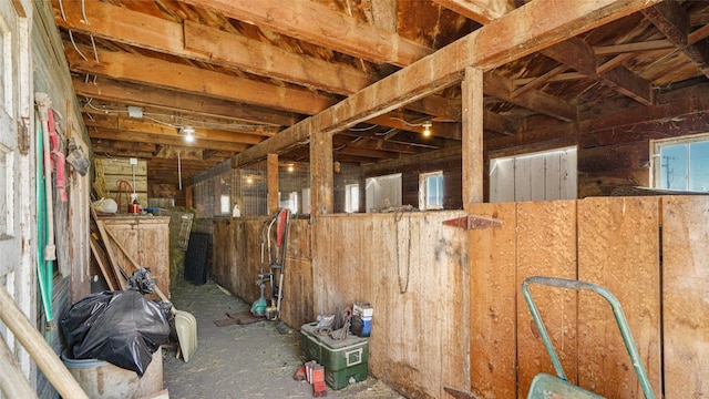 325 S Shelton Ln, Hayden, CO 81639 - photo 38