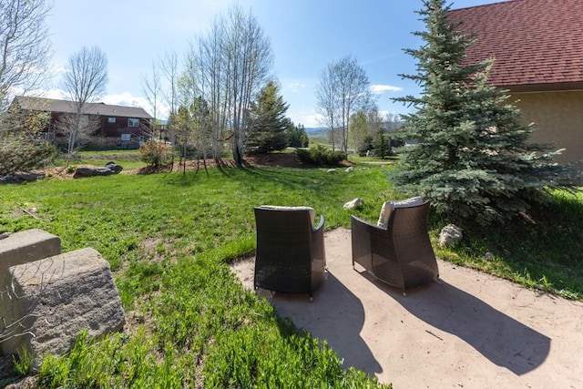 40924 Purple Sage St, Steamboat Springs, CO 80487 - view of grassy yard featuring a patio