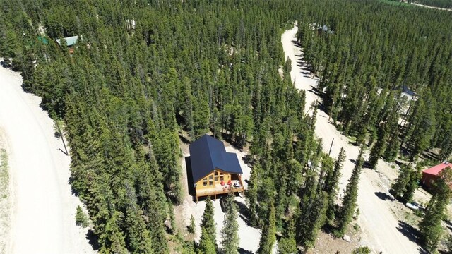 572 Gold Trail Cir, Fairplay, CO 80440 - photo 40