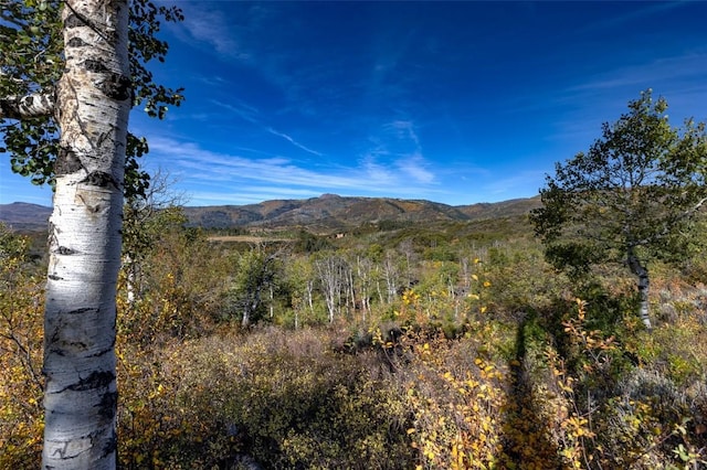 Listing photo 2 for 50560 Smith Creek Park Rd, Steamboat Springs CO 80487