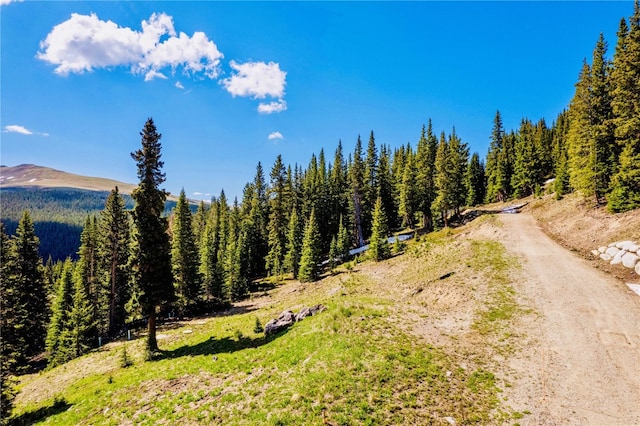 46 Robertson Ln, Breckenridge, CO 80424