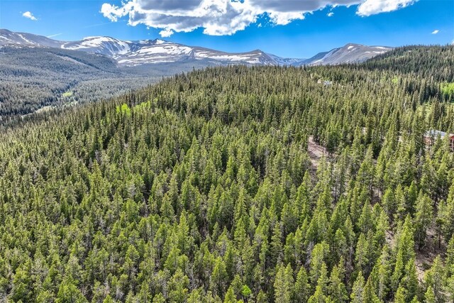918 Guymard Rd, Fairplay, CO 80440