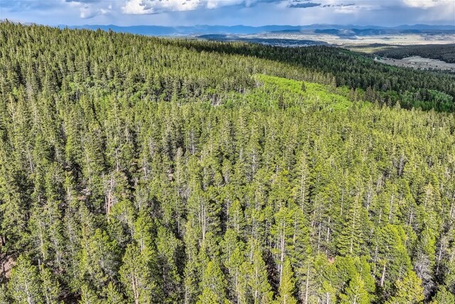 918 Guymard Rd, Fairplay, CO 80440