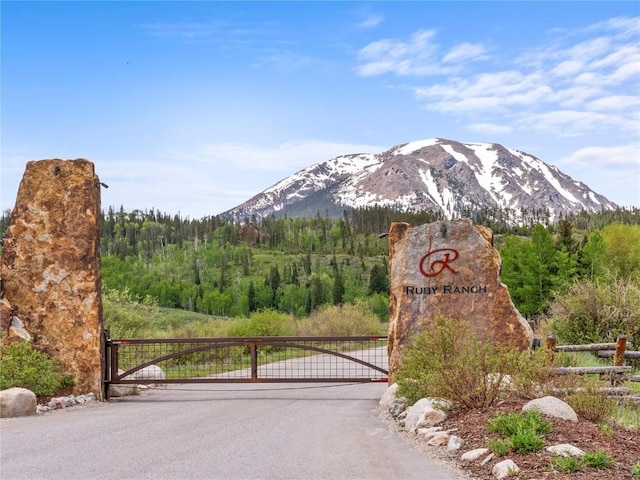 89 Emerald Rd, Silverthorne, CO 80498 - mountain view featuring a forest