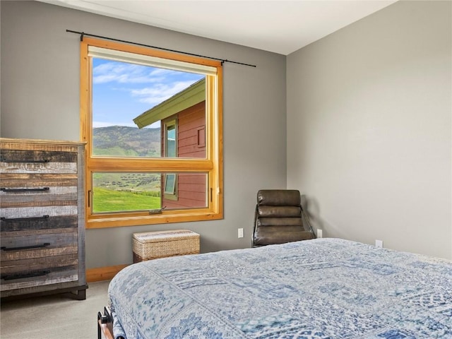 89 Emerald Rd, Silverthorne, CO 80498 - bedroom with carpet