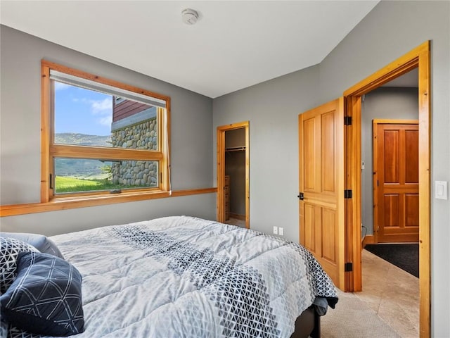 89 Emerald Rd, Silverthorne, CO 80498 - bedroom with a spacious closet, light carpet, and a closet