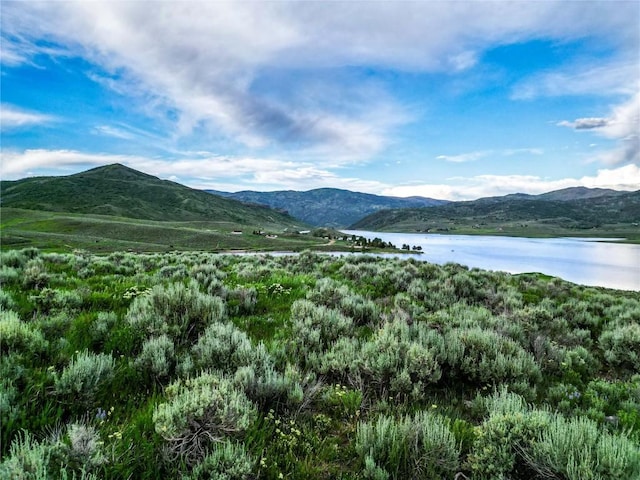 24625 Lakeside Ln, Oak Creek, CO 80467
