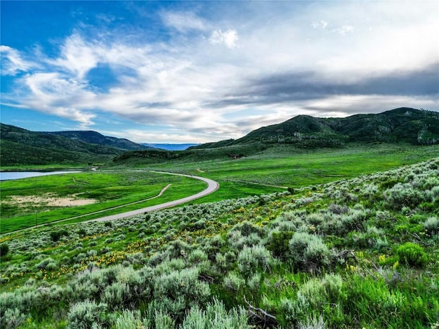 24625 Lakeside Ln, Oak Creek, CO 80467