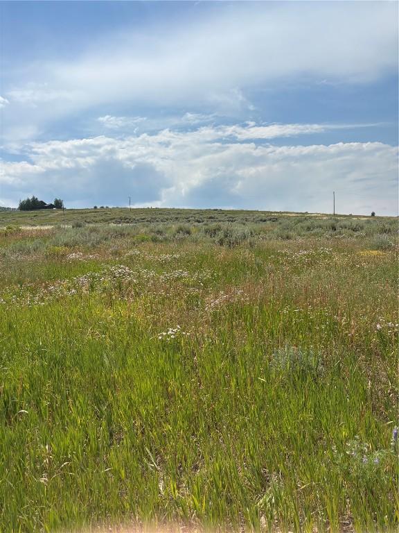 23625 Willow Island Trl, Oak Creek, CO 80467 - photo 4