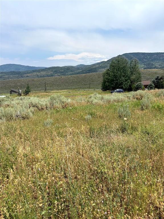 23625 Willow Island Trl, Oak Creek, CO 80467 - photo 3