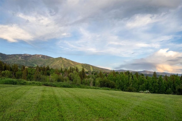 TBD Anglers Pond, Steamboat Springs, CO 80487 - photo 10