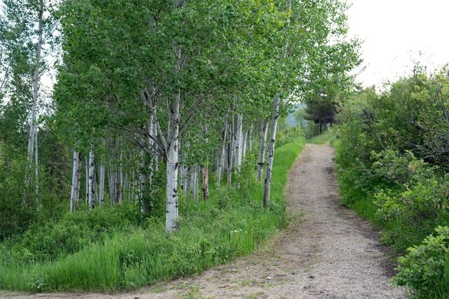 TBD Anglers Pond, Steamboat Springs, CO 80487 - photo 35