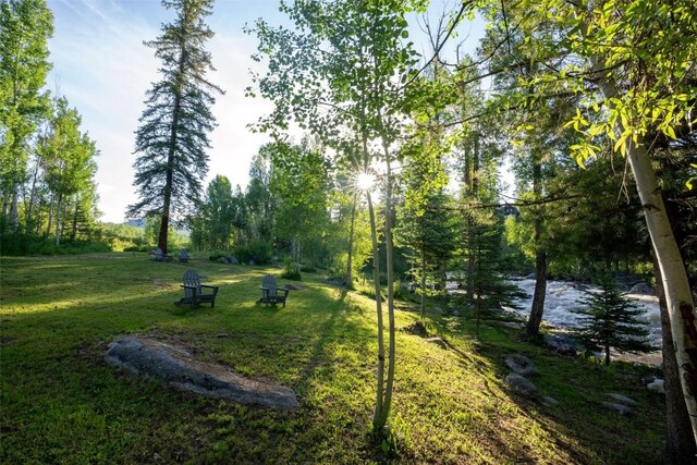 TBD Anglers Pond, Steamboat Springs, CO 80487 - photo 3
