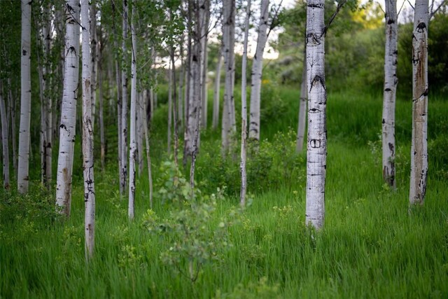 TBD Anglers Pond, Steamboat Springs, CO 80487 - photo 18