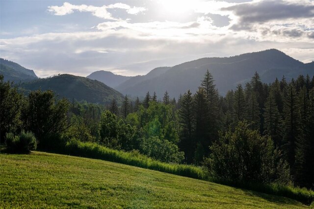 TBD Anglers Pond, Steamboat Springs, CO 80487 - photo 8
