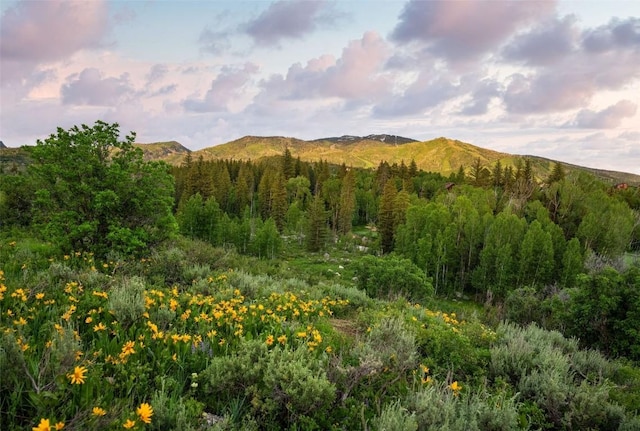 TBD Anglers Pond, Steamboat Springs, CO 80487 - photo 1