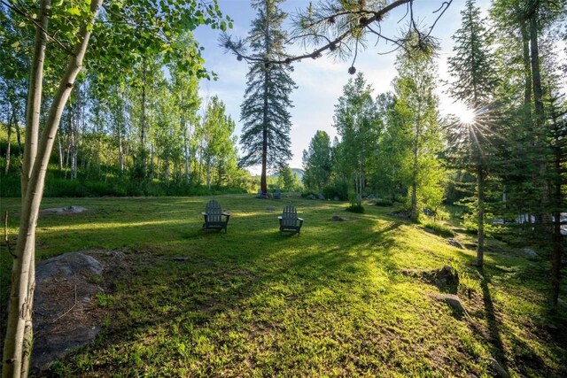 TBD Anglers Pond, Steamboat Springs, CO 80487 - photo 34
