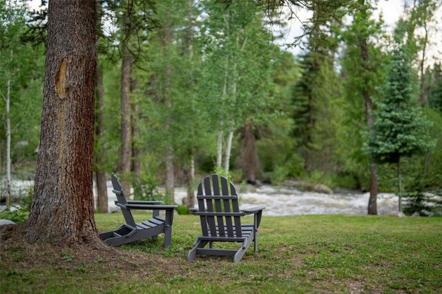 TBD Anglers Pond, Steamboat Springs, CO 80487 - photo 13