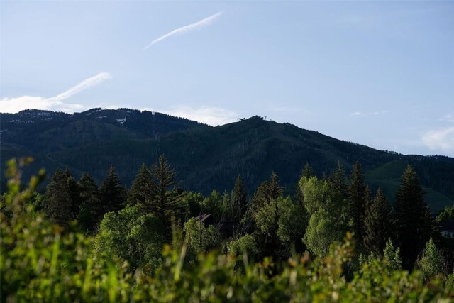 TBD Anglers Pond, Steamboat Springs, CO 80487 - photo 26