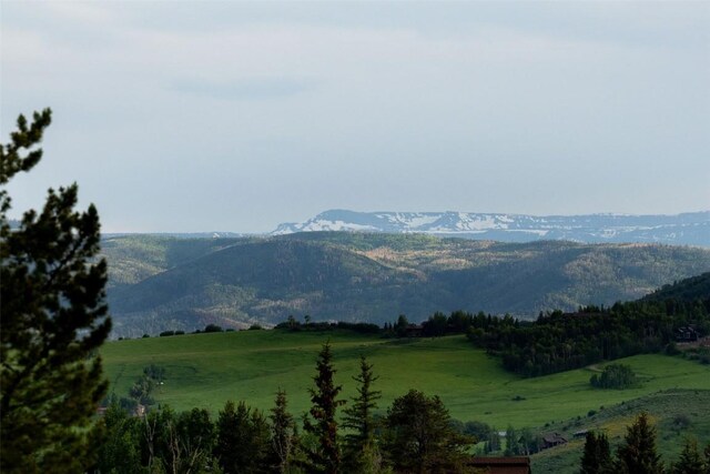 TBD Anglers Pond, Steamboat Springs, CO 80487 - photo 11