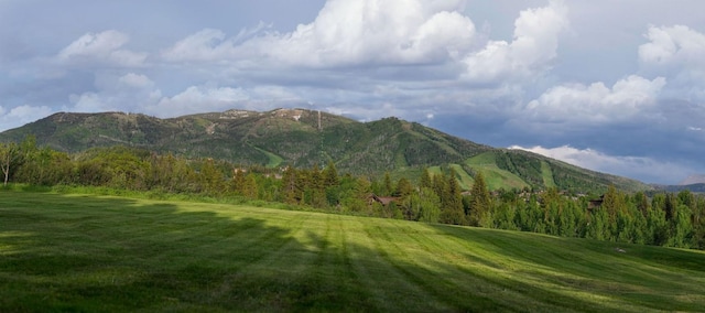 TBD Anglers Pond, Steamboat Springs, CO 80487 - photo 4