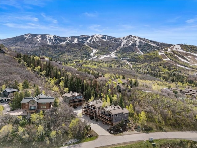 2137 Overlook Ln Unit 104, Steamboat Springs, CO 80487 - mountain view