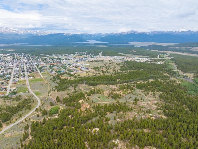 TBD W 7th St, Leadville, CO 80461 - photo 8