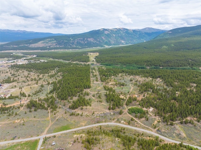 TBD W 7th St, Leadville, CO 80461 - photo 6