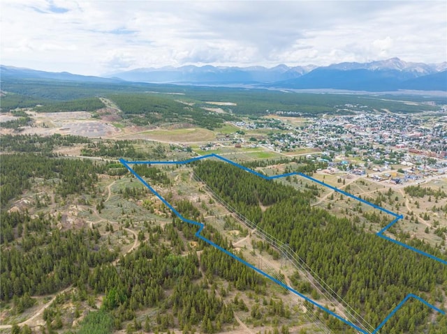 TBD W 7th St, Leadville, CO 80461 - photo 1