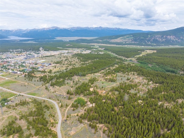 TBD W 7th St, Leadville, CO 80461 - photo 7
