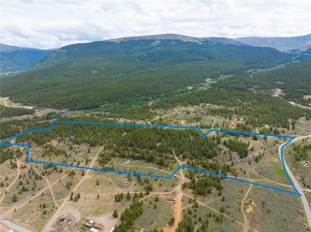 TBD W 7th St, Leadville, CO 80461 - photo 2