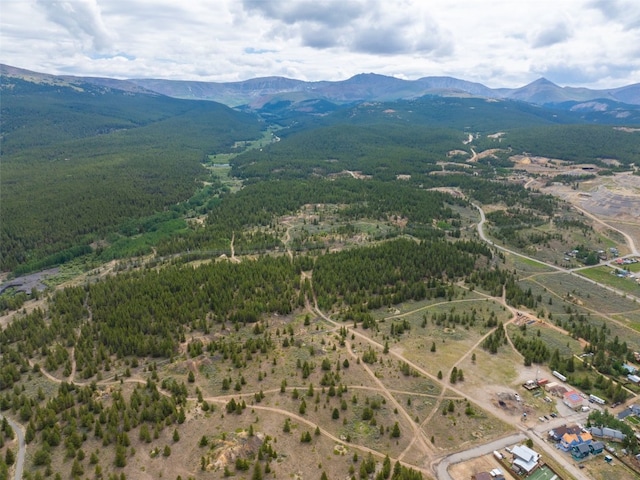 TBD W 7th St, Leadville, CO 80461 - photo 12