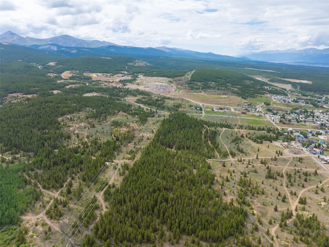 TBD W 7th St, Leadville, CO 80461 - photo 11
