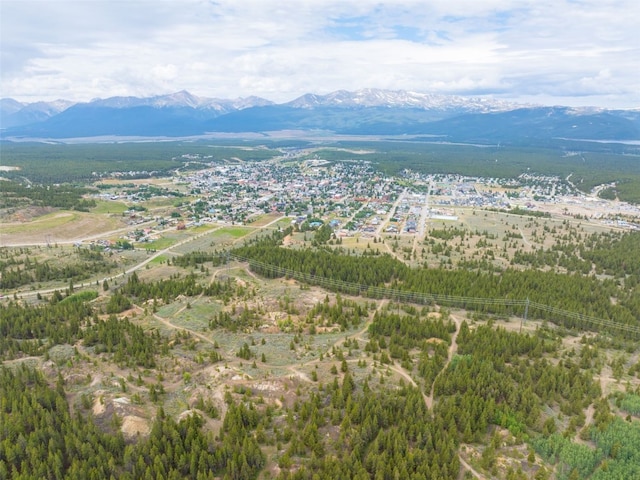 TBD W 7th St, Leadville, CO 80461 - photo 9