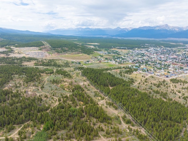 TBD W 7th St, Leadville, CO 80461 - photo 10