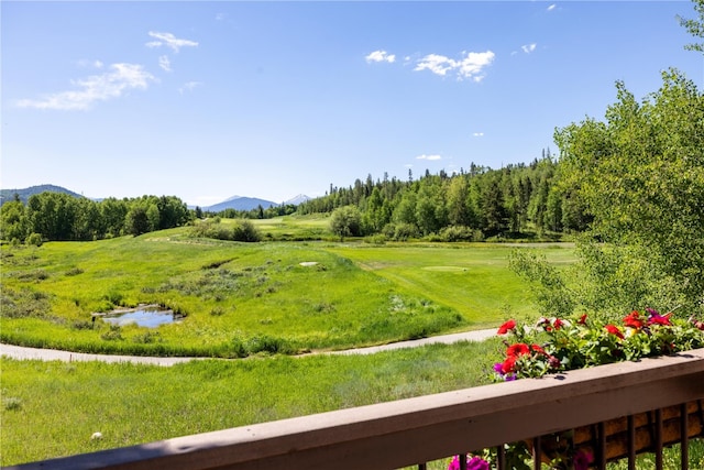 view of yard featuring a mountain view