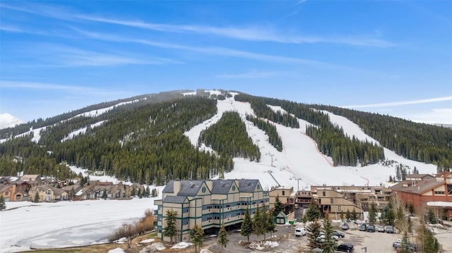 snowy aerial view featuring a mountain view and a wooded view