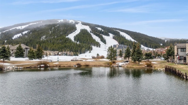 view of water feature featuring a mountain view