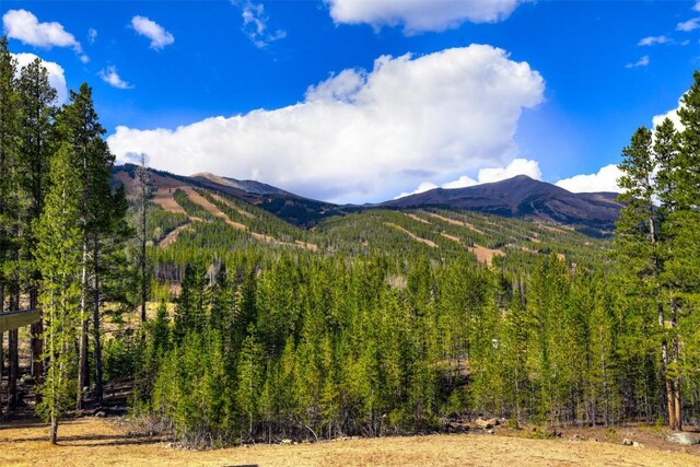 364 Gold King Way, Breckenridge, CO 80424 - photo 49