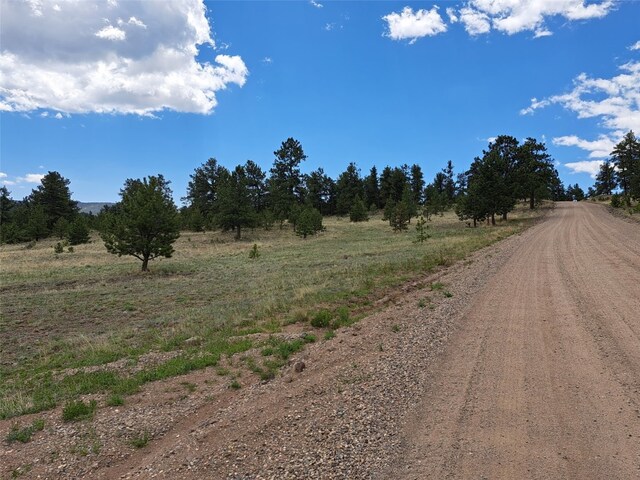 744 Julia Rd, Guffey, CO 80820 - photo 7