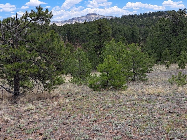 744 Julia Rd, Guffey, CO 80820 - photo 10