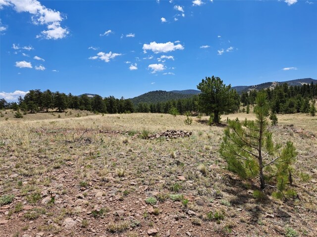 744 Julia Rd, Guffey, CO 80820 - photo 32
