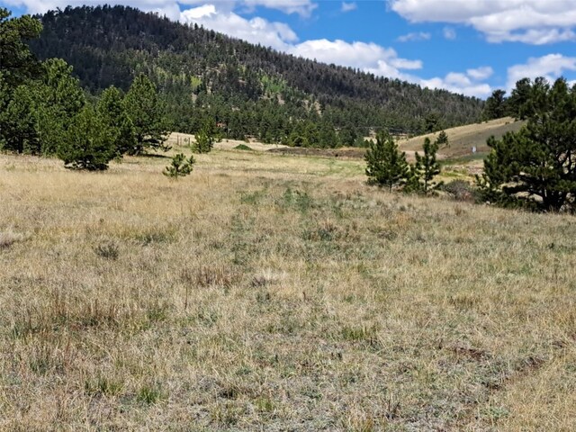 744 Julia Rd, Guffey, CO 80820 - photo 35